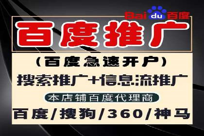 百度品牌专区推广的成效与案例